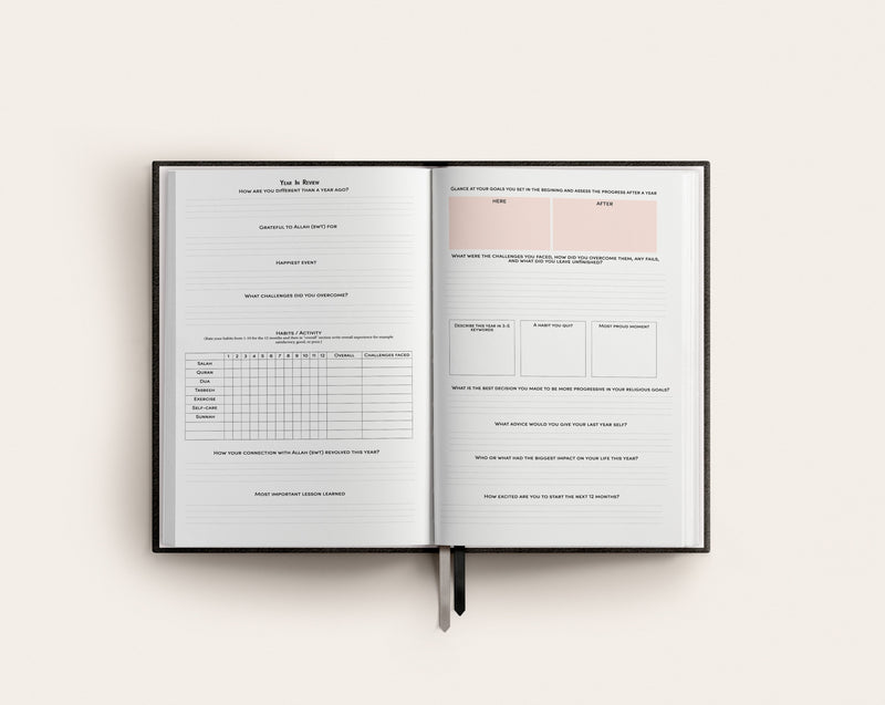 Weekly 2022 Annual Planner Sand